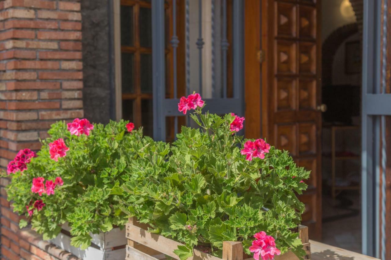 La Casa Di Iside A Mare Daire Katanya Dış mekan fotoğraf